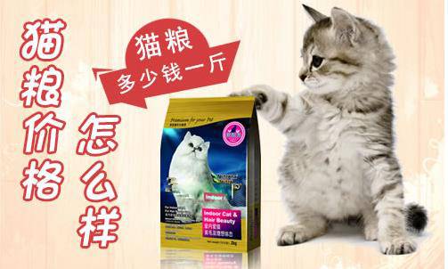 什么牌子的天然猫粮性价比高，怎么选猫粮呢？
