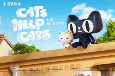 天猫公益联动商家和公益基金 发起校园流浪猫救助计划